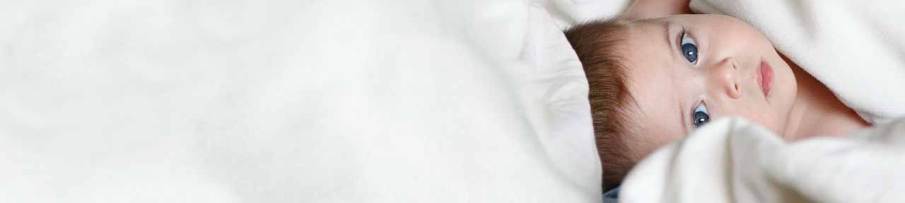 Inner_Banner Inner_Banner